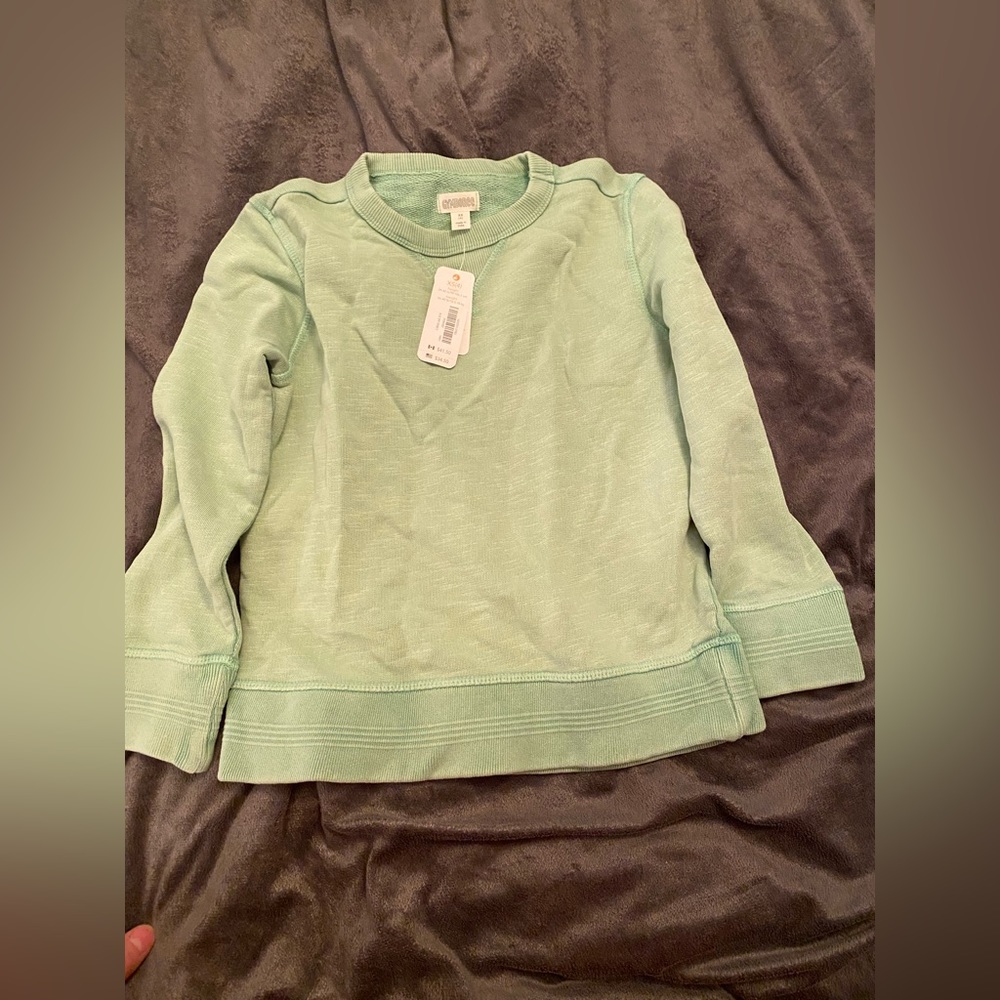 NWT Gymboree sweatshirt